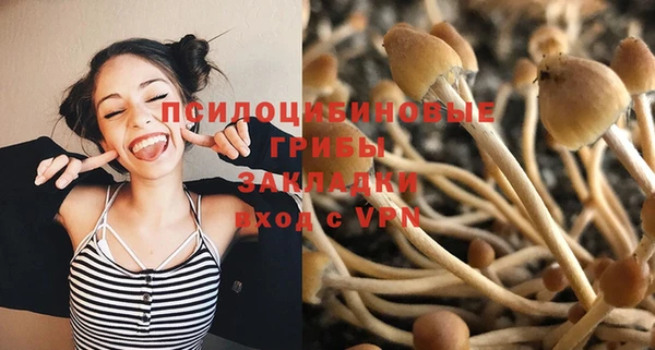 a pvp Алексеевка