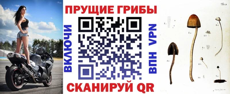 даркнет телеграм  KRAKEN зеркало  Галлюциногенные грибы Psilocybe  Бирюч  цены наркотик 